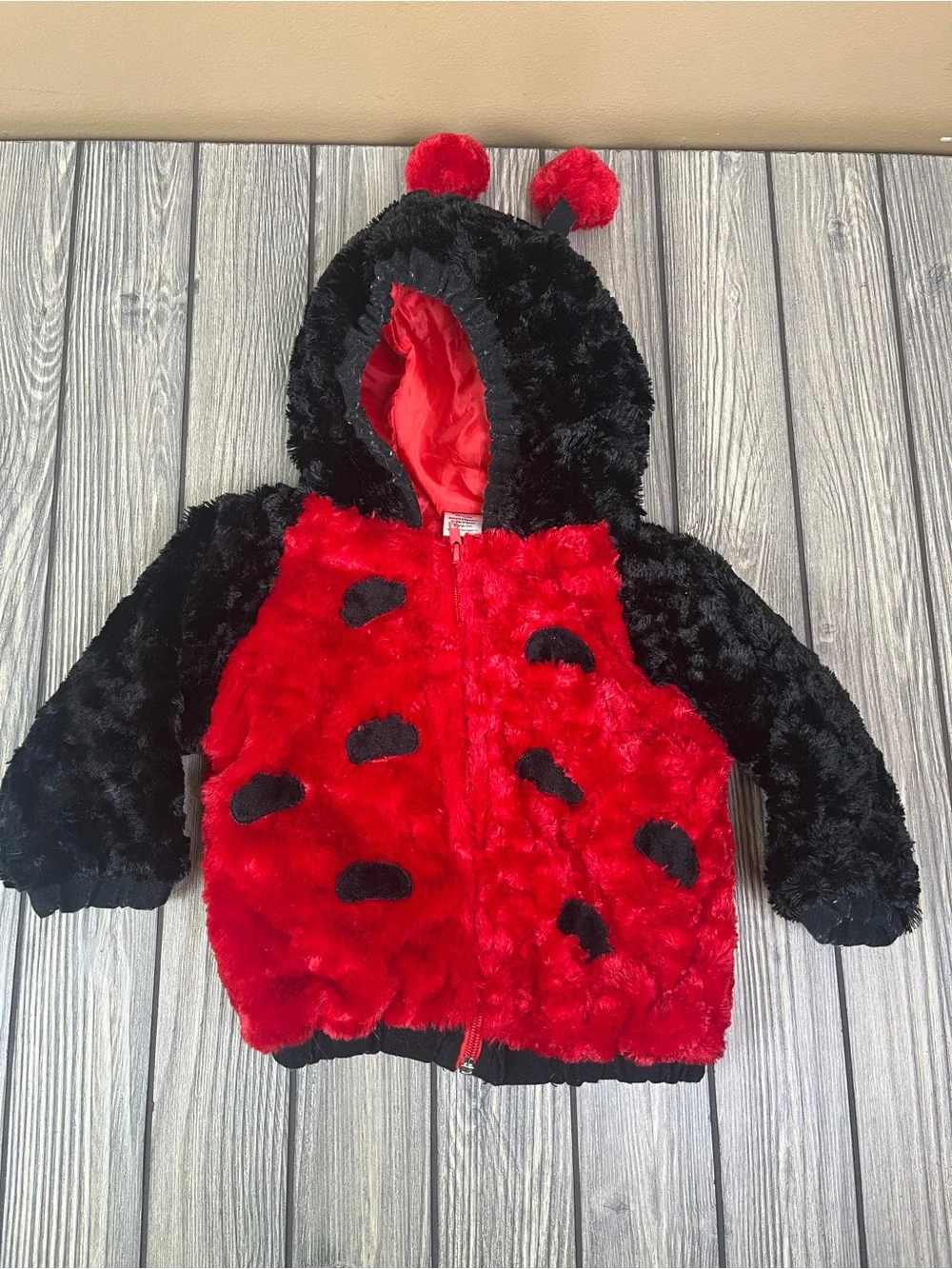 Lady Bug Baby Costume 24m